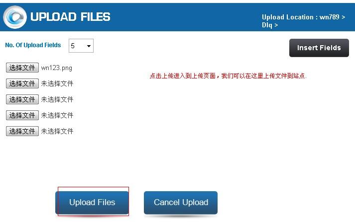 【1APPS.COM】1G磁盘空间无限月流量免费ASP空间申请使用教程插图4 4_zpsd7390c3e (1)