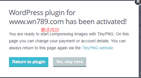 【美国TinyPNG】国外优秀在线PNG、JPEG图片压缩及wordpress插件激活使用教程插图6