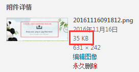 【美国TinyPNG】国外优秀在线PNG、JPEG图片压缩及wordpress插件激活使用教程插图10