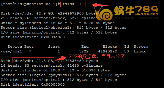 如何为Linux系统VPS挂载数据盘到指定目录插图 如何为Linux系统VPS挂载数据盘到指定目录插图