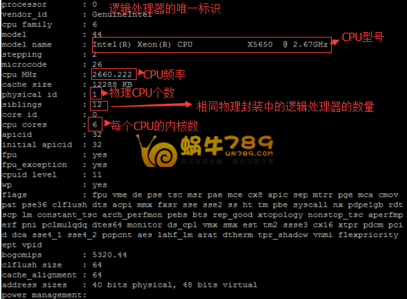 如何对VPS进行性能测试及UnixBench跑分工具使用教程插图
