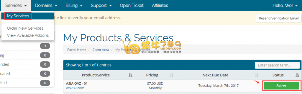 DGCHost新加坡VPS 1核512M内存20G硬盘10Mbps首月11.99元插图5