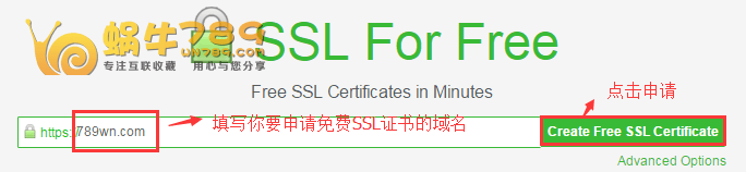 使用SSL For Free在线申请Let's Encrypt免费SSL证书及续期插图