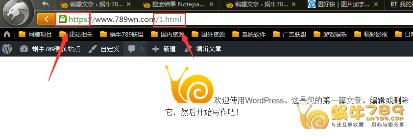 宝塔Linux面板通过站点修改部署SSL证书安装及伪静态规则插图5