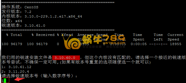 锐速ServerSpeeder无限带宽无限制版一键安装包(2017.6.23更新 )插图2