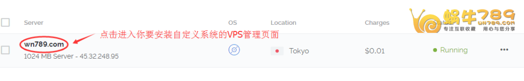 Vultr VPS通过上传自定义系统iso文件安装Windows系统完整教程插图4