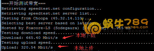 高品质美国CN2、Linode、Vultr三大VPS性能测试及对比插图5