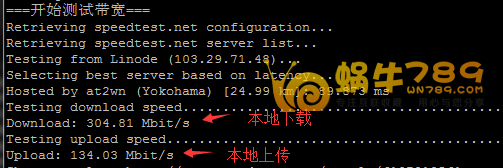 高品质美国CN2、Linode、Vultr三大VPS性能测试及对比插图4