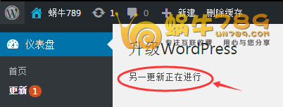 升级WordPress提示另一更新正在进行错误解决办法插图 升级WordPress提示另一更新正在进行错误解决办法插图