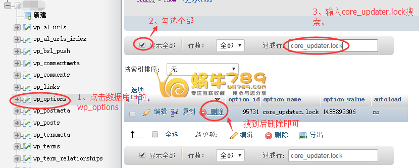 升级WordPress提示另一更新正在进行错误解决办法插图1 升级WordPress提示另一更新正在进行错误解决办法插图1