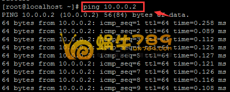 LKL一键安装包为自己的OpenVZ安装BBR提速插图1