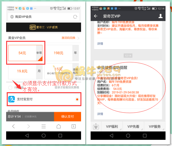 爱奇艺黄金VIP会员半价优惠地址 原价108元/半年只需54元/半年插图1