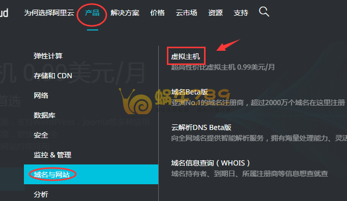 阿里云国际版美国硅谷/香港5G空间/512独享内存虚拟主机80元/年插图