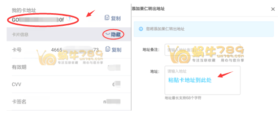 GPlusCard虚拟VISA卡申请及充值教程 跨境结算 微信支付宝充值插图12