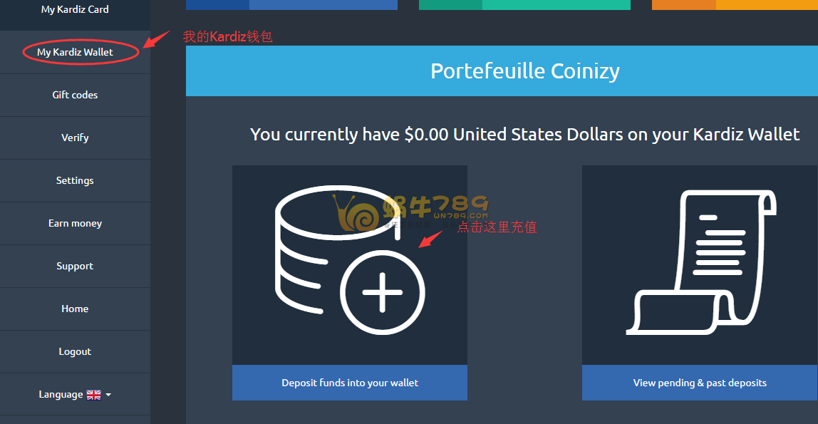 Kardiz虚拟VISA卡申请充值详细教程 海购必备支付方式插图5