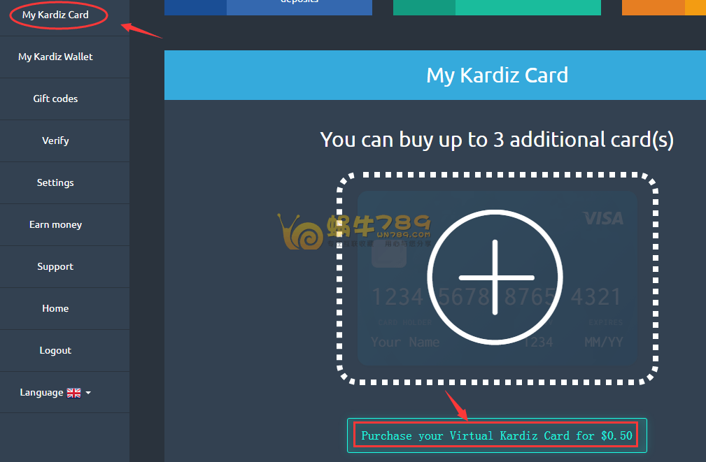 Kardiz虚拟VISA卡申请充值详细教程 海购必备支付方式插图8