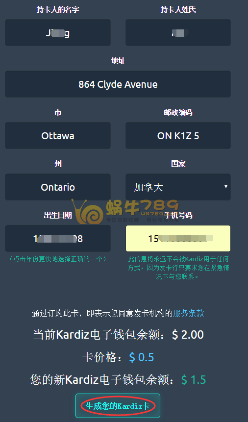 Kardiz虚拟VISA卡申请充值详细教程 海购必备支付方式插图9