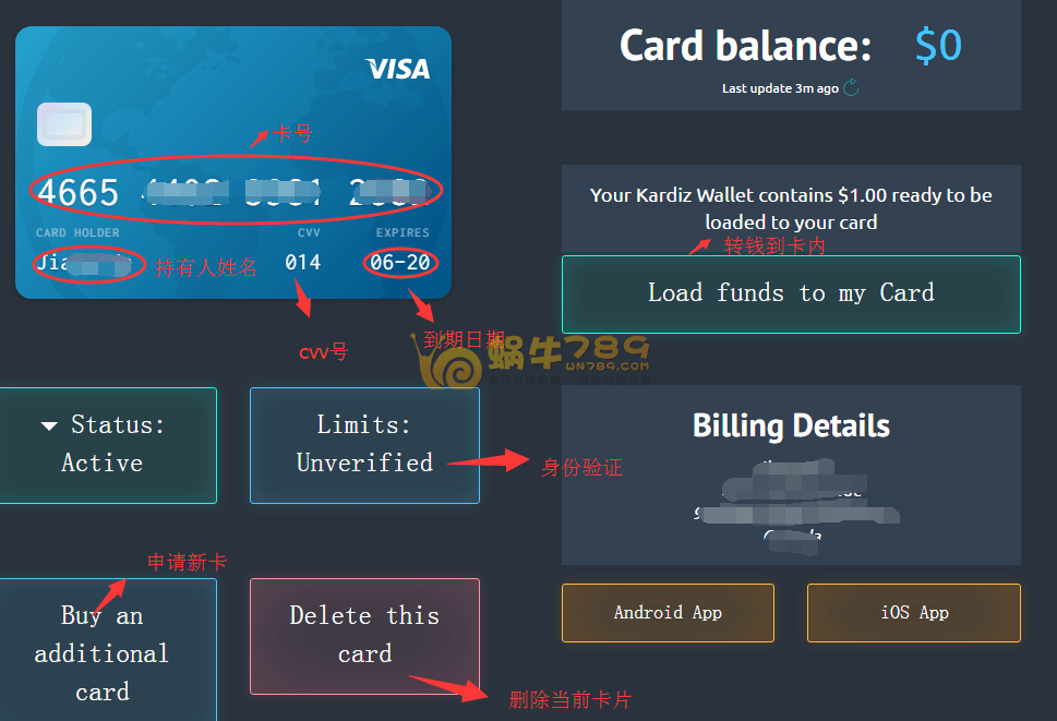 Kardiz虚拟VISA卡申请充值详细教程 海购必备支付方式插图10