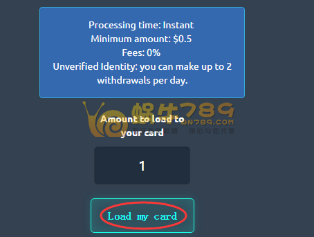 Kardiz虚拟VISA卡申请充值详细教程 海购必备支付方式插图11