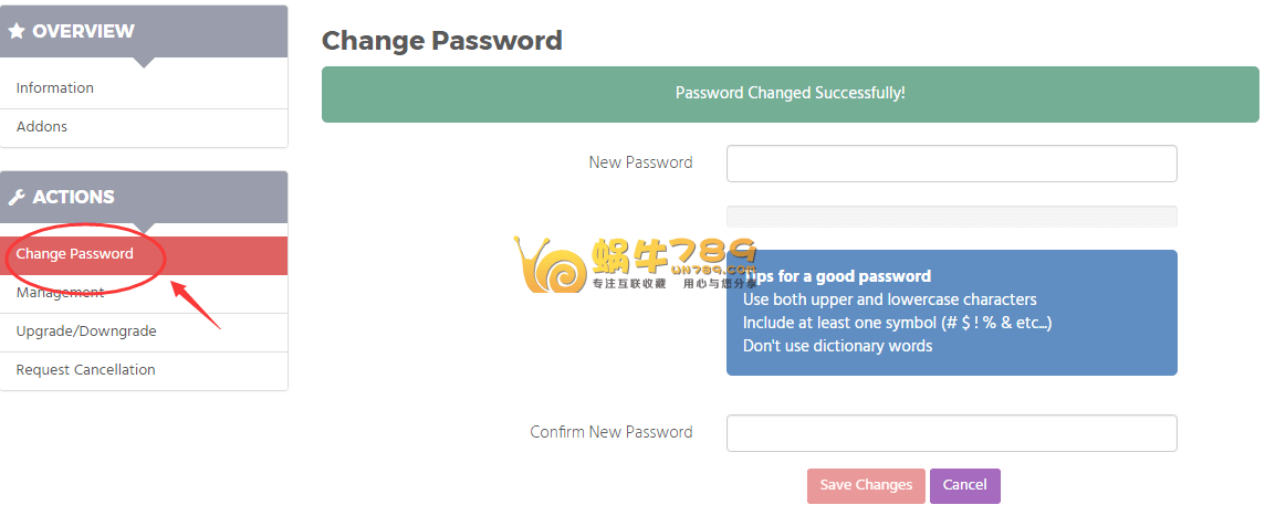 Chicagovps管理教程和洛杉矶机房使用评测插图1