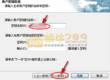 Dply.co亚太新加坡免费2小时VPS  多节点附申请使用教程插图11