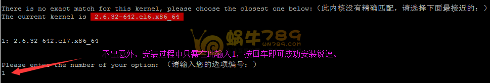 如何在高品质美国CN2KVM CN2 VPS成功安装锐速及与BBR加速效果对比插图1 如何在高品质美国CN2KVM CN2 VPS成功安装锐速及与BBR加速效果对比插图1