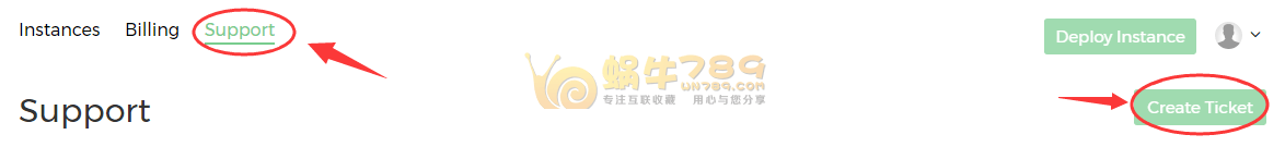 VMHaus免费VPS申请教程 1核512M内存10G硬盘英国伦敦机房插图