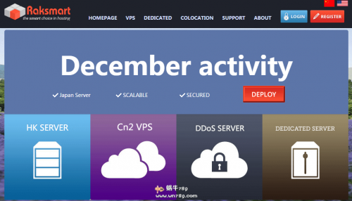 Raksmart美国4C站群服务器买一送一,258个IP,圣何塞大陆优化线路,100M独享无限流量插图