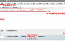 WordPress如何批量修改已发布内容_通过数据库SQL批量修改标题/标签及文章内容-主机玖玖