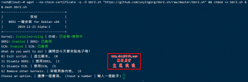 Google BBR2一键安装脚本_适用于Debian/Ubuntu x64系统插图