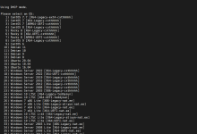 Minijer一键DD重装系统脚本_Linux一键DD重装Linux、Windows系统脚本(41个系统镜像可以选择)-主机玖玖