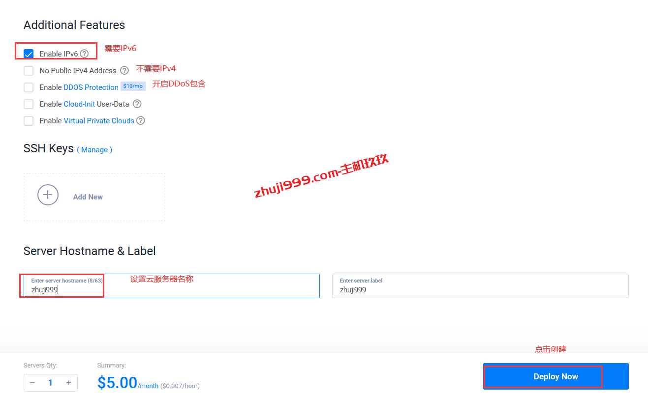 Vultr云服务器如何购买_Vultr云服务器开通与销毁详细教程插图8