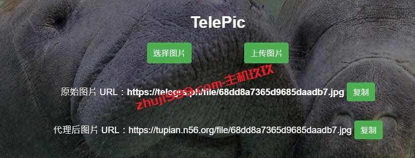 利用TelePic搭建自己图床教程_TelePic是一个基于Telegraph图片存储的网站前端图床程序插图9