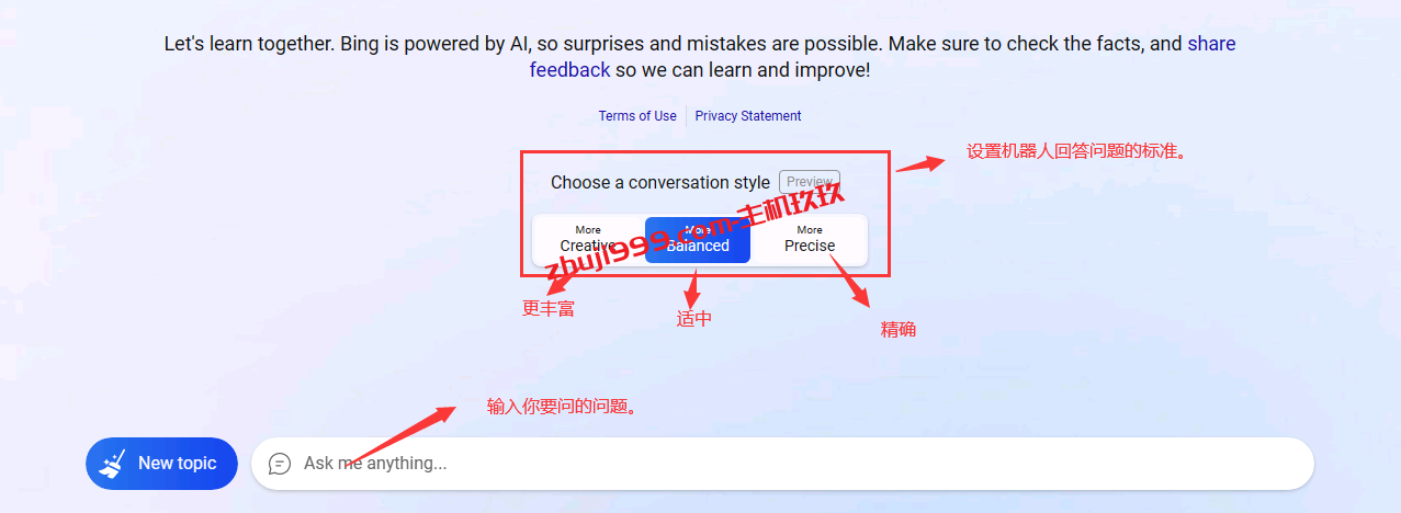 通过国外Windows云服务器来注册必应账号成功开通必应版ChatGPT完整流程记录插图10