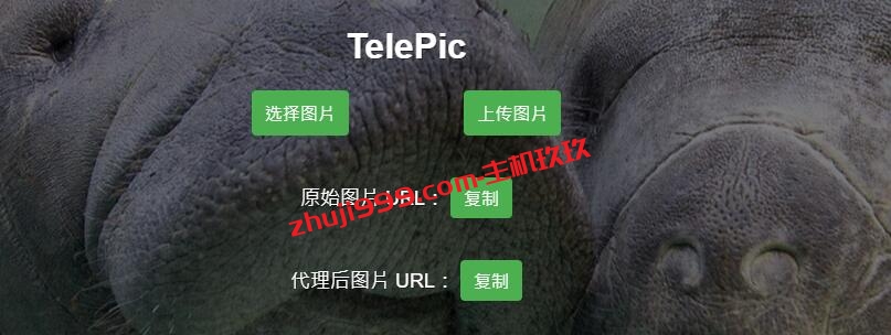 利用TelePic搭建自己图床教程_TelePic是一个基于Telegraph图片存储的网站前端图床程序插图8