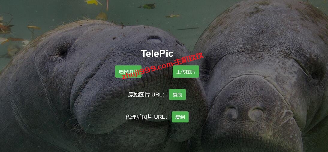 利用TelePic搭建自己图床教程_TelePic是一个基于Telegraph图片存储的网站前端图床程序插图