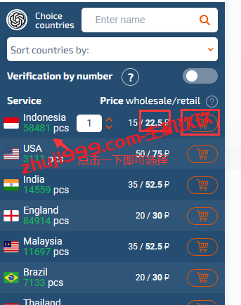 SMS-Activate免费虚拟电话号码接收短信认证_SMS-Activate注册与使用过程记录插图10