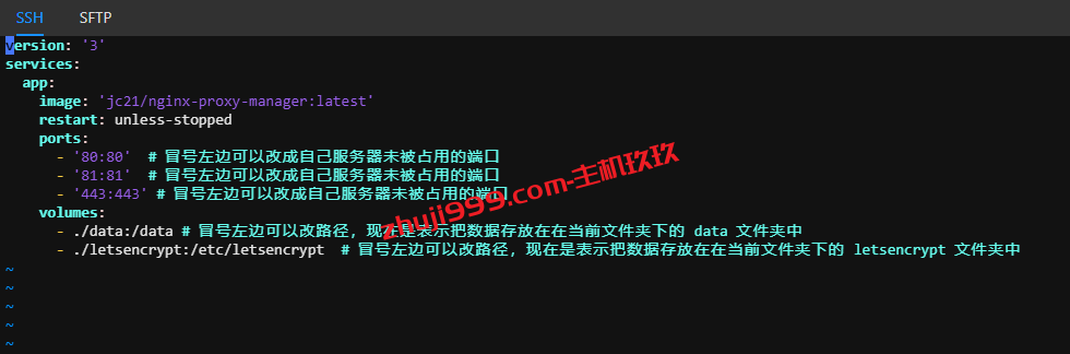 Debian和Ubuntu系统安装Nginx Proxy Manager及绑定自己域名详细过程记录插图2