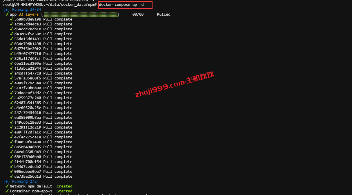Debian和Ubuntu系统安装Nginx Proxy Manager及绑定自己域名详细过程记录插图4