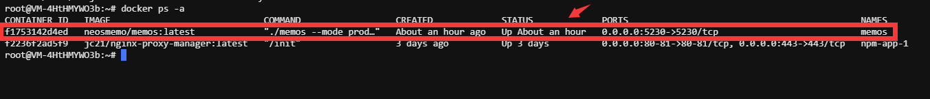 如何搭建一个属于自己的微博_在Docker环境下快速部署Memos来搭建网络备忘录完整教程插图2