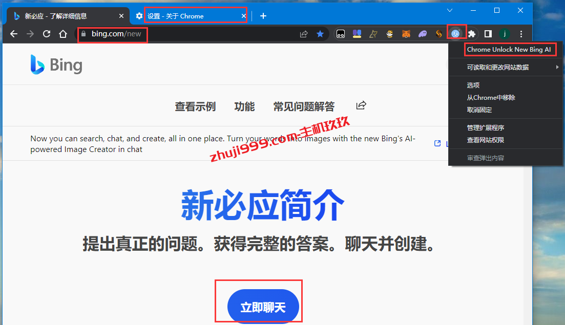 如何在谷歌浏览器使用New Bing Chat聊天机器人及New Bing Chat识图功能插图