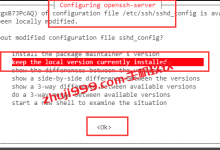 HostSlayer新泽西4核10G/200G硬盘/100M不限流量/5美元/月-主机玖玖