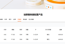 RakSmart马来西亚站群服务器，5+253个IP，$309/月起！-主机玖玖