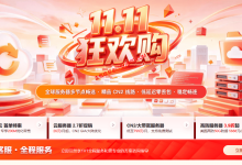 #双11#华纳云2026双11多款香港、美国、新加坡CN2线路套餐可选-主机玖玖